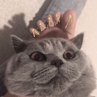 主播茶话会